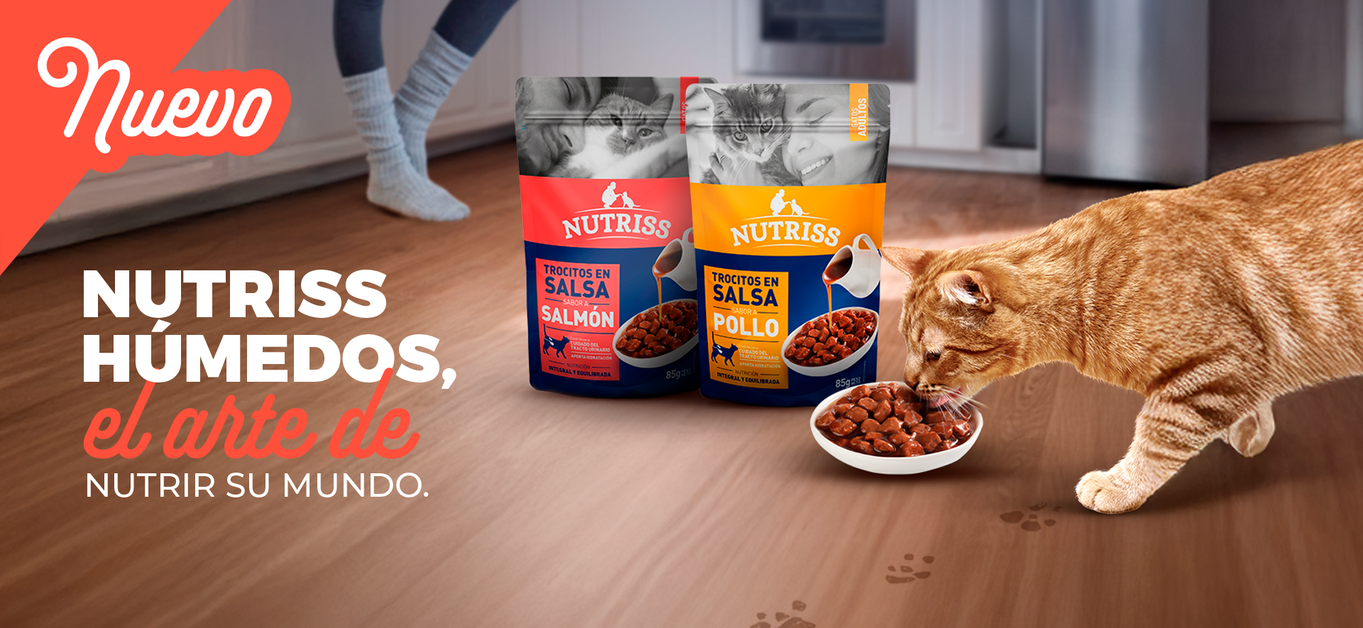 Nutriss nuevo alimento humedo para felinos